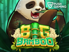 Casino bingo slots48